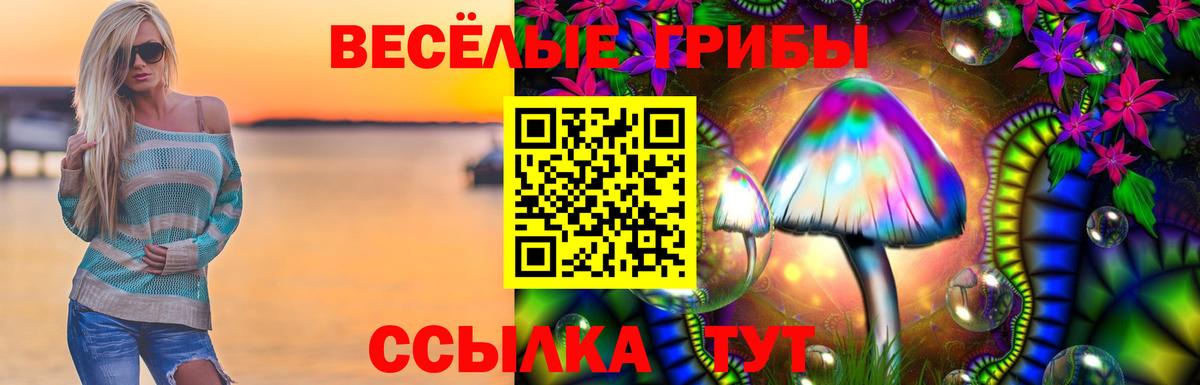 Волжск  Псилоцибиновые грибы Psilocybine cubensis  Галлюциногенные грибы Cubensis  Вход с VPN 